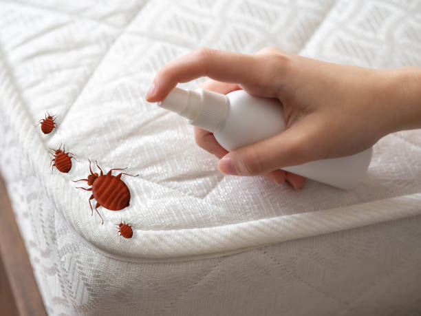 Best Pest Control Cost  in USA